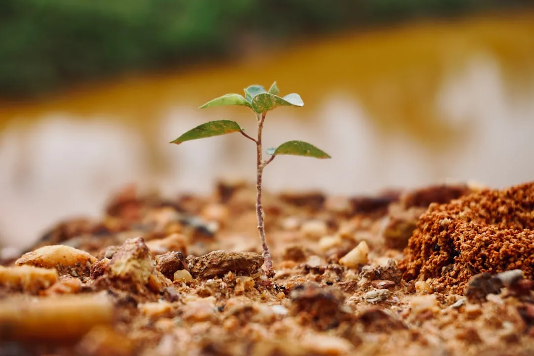 Why Garden Ties Are a Surprisingly Common Culprit (Image Credits: Unsplash)