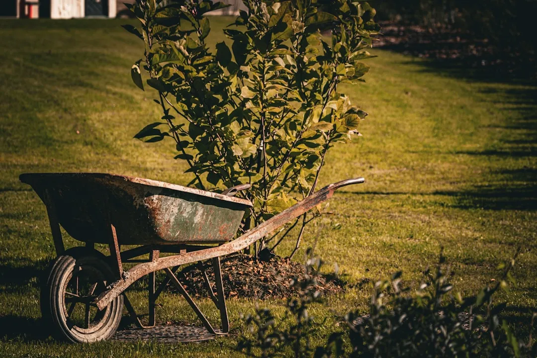 Who Is Most at Risk from Rusty Tool Injuries (Image Credits: Unsplash)