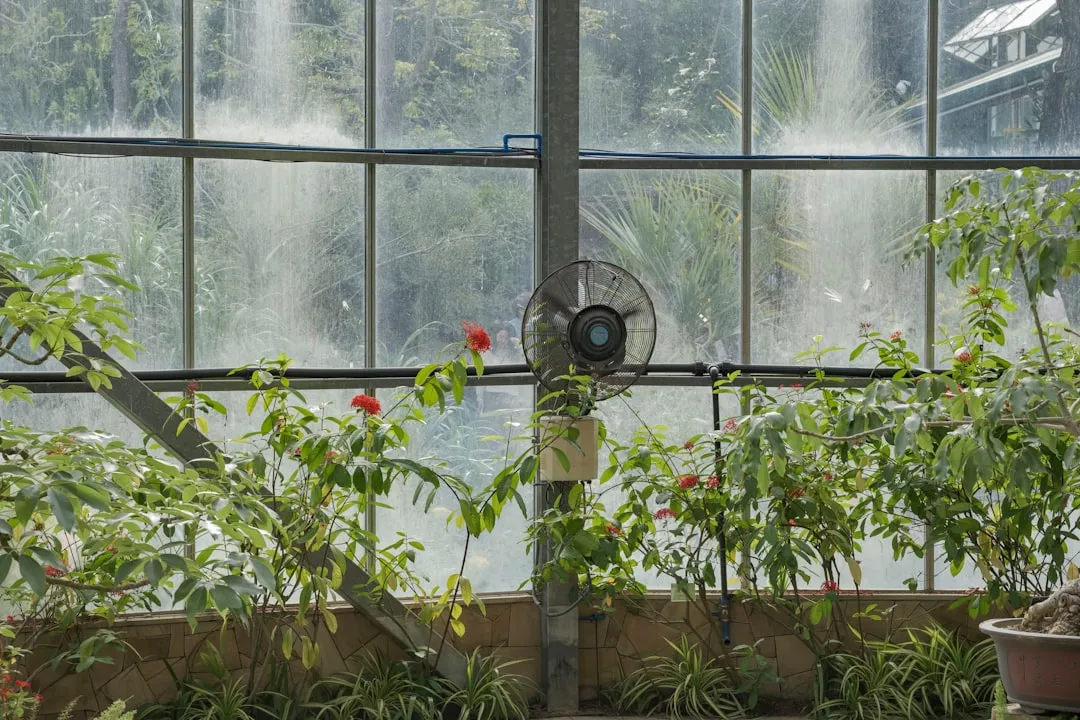 Airflow at the Base Is What Actually Prevents Fungal Disease (Image Credits: Unsplash)