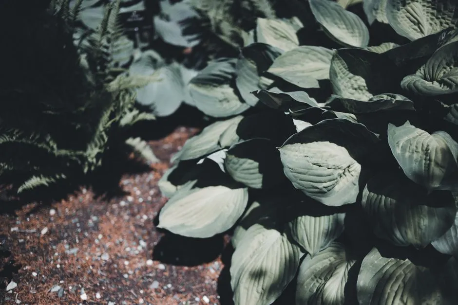 The Crown and the Eyes: The Hidden Architecture of Regrowth (Image Credits: Pexels)