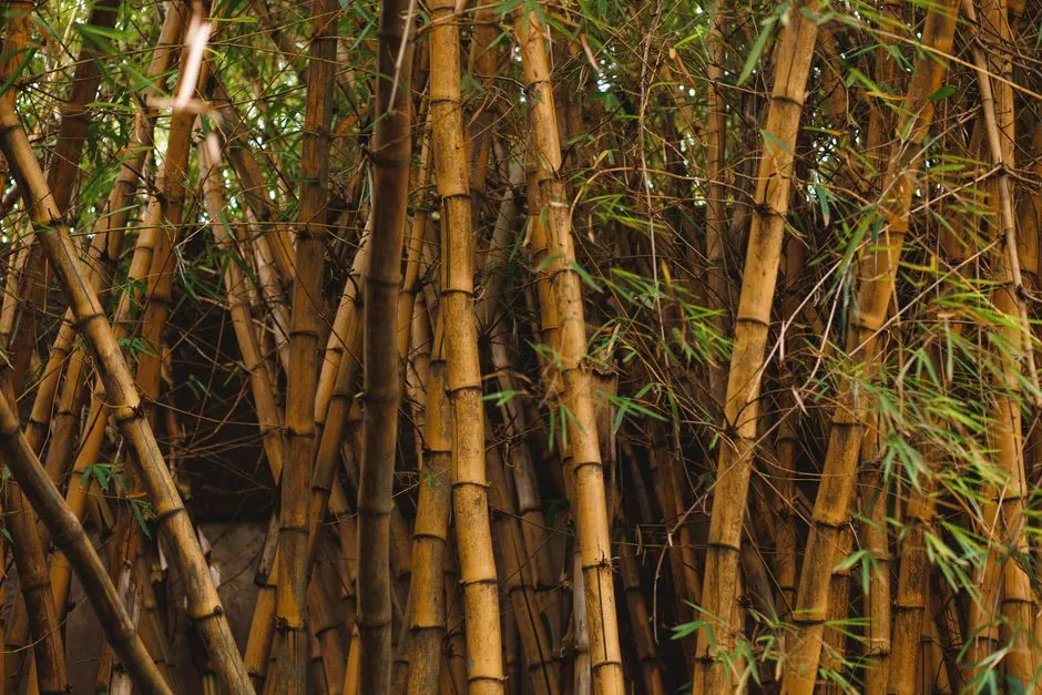 Material Matters More Than People Expect (Image Credits: Pexels)