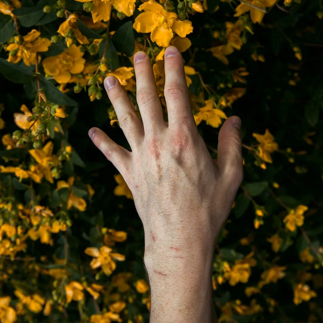 The Pollination Problem (and How to Fix It) (Image Credits: Unsplash)