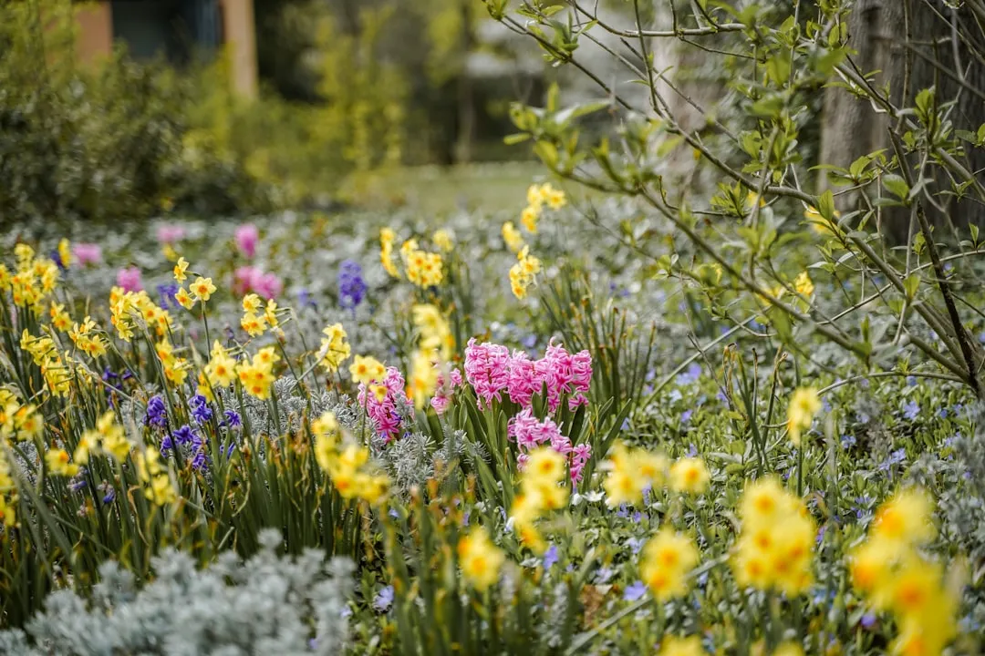 The Practical Case for Seasonal Planting Calendars (Image Credits: Unsplash)