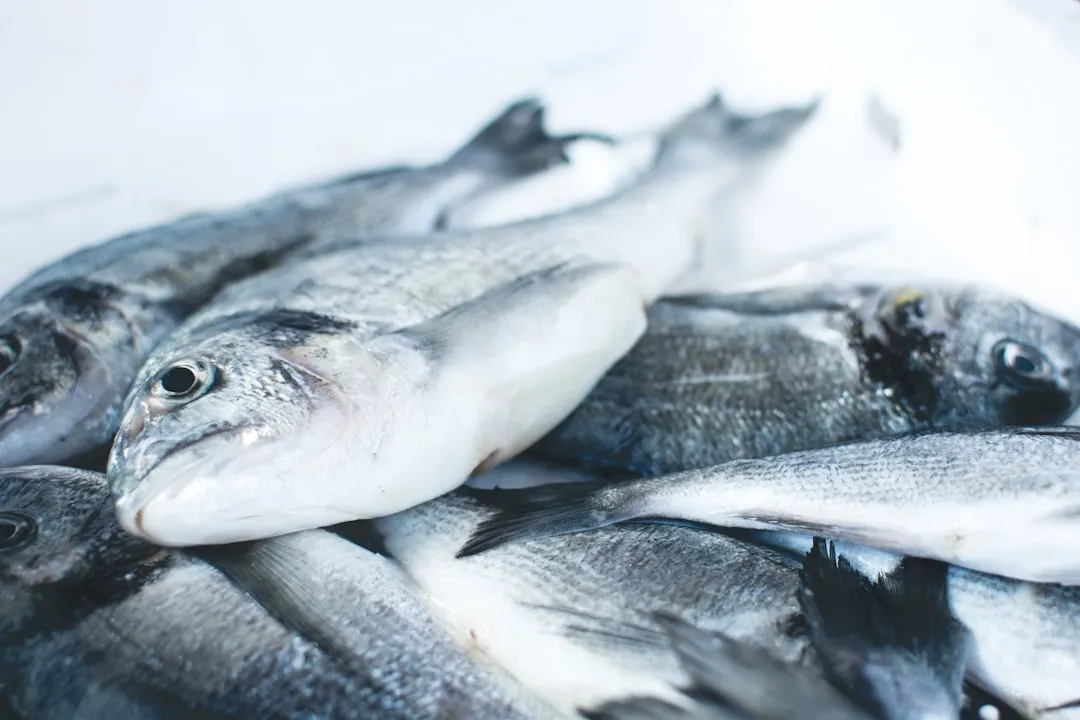 5. Fatty Fish (Image Credits: Unsplash)