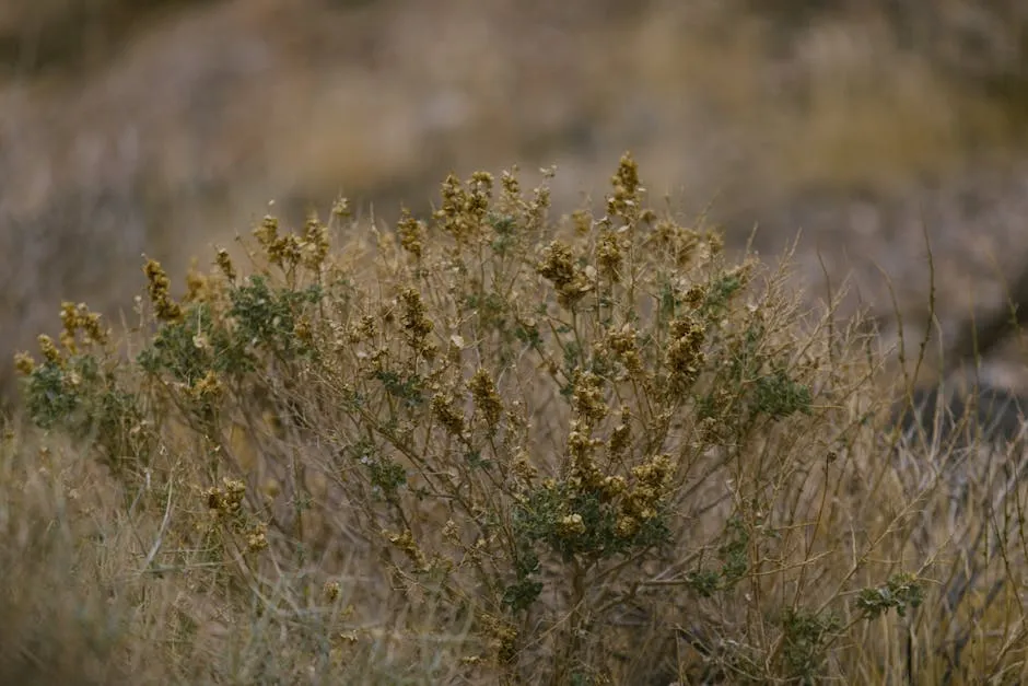The 2023 USDA Map Update Changed Everything (Image Credits: Pexels)
