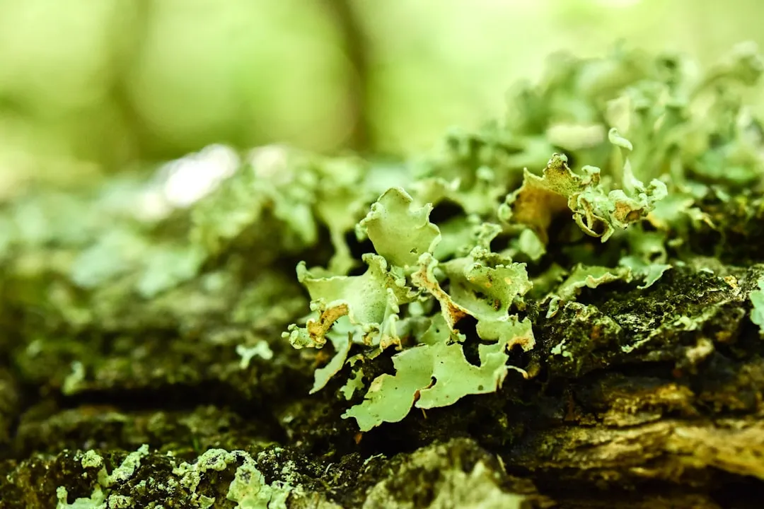 Green Mold on Food Scraps: Too Wet, Too Nitrogen-Heavy (Image Credits: Unsplash)