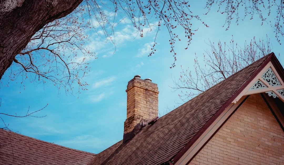 You Hear Scratching and Squeaking Inside the Chimney (Image Credits: Unsplash)