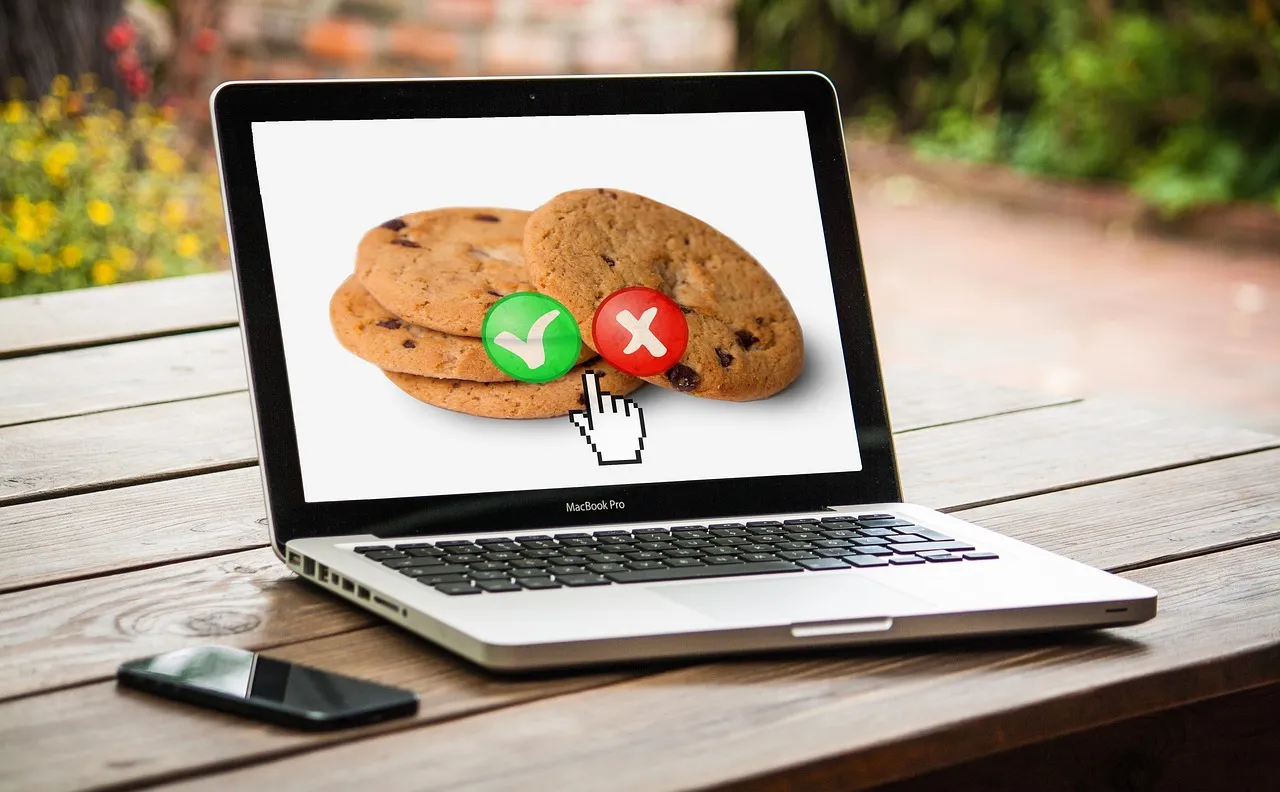 The Third-Party Cookie Question Is Still Unsettled (Image Credits: Pixabay)