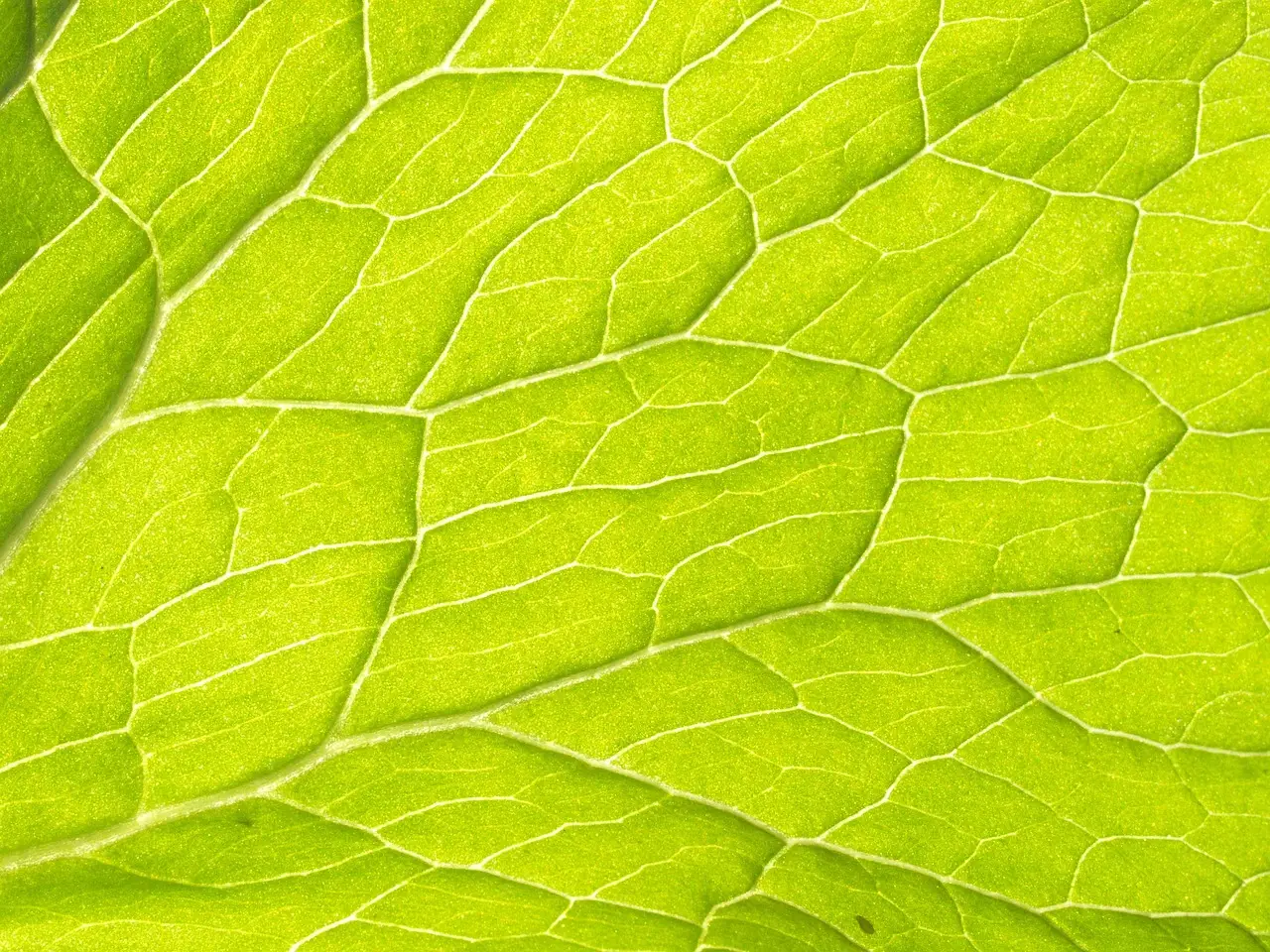 The Science Behind the Damage (Image Credits: Pixabay)