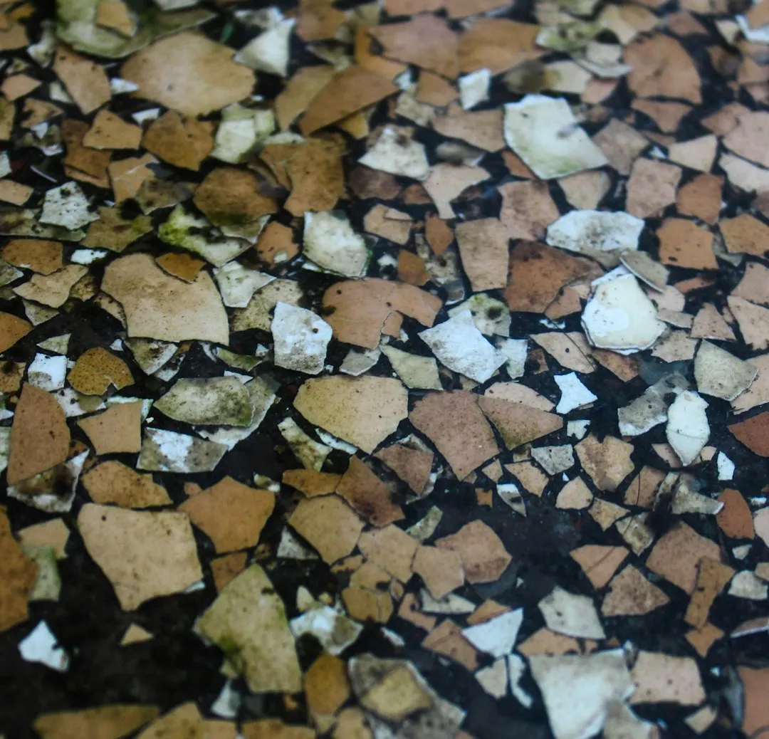 Practical Steps for Getting the Most Out of Eggshells in Compost (Image Credits: Unsplash)