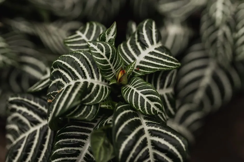 6. Haworthia (Zebra Plant): The Detail-Oriented Observer (Image Credits: Pexels)