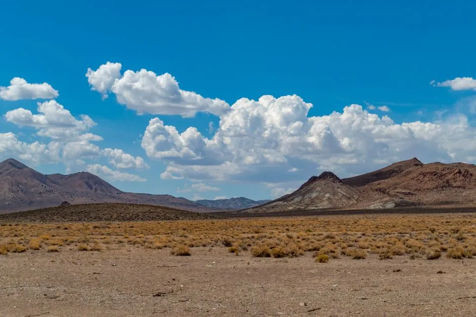 Drought and Water Stress Are Compounding the Problem (Image Credits: Pexels)