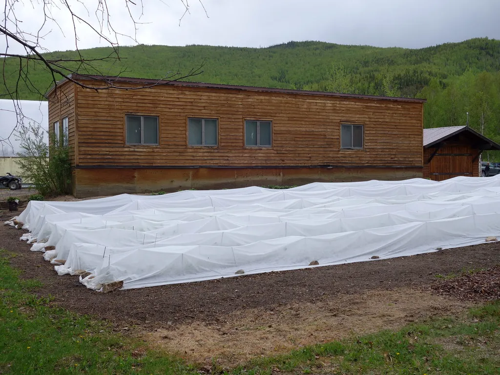 What Floating Row Cover Actually Is (Image Credits: Flickr)
