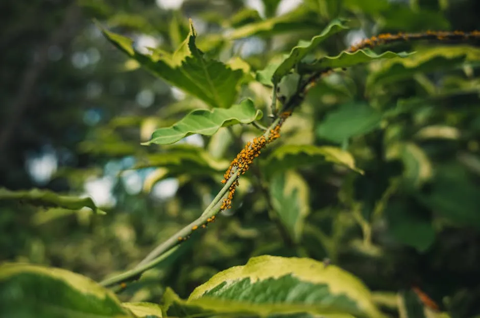 Common Mistakes: Pest Eggs That Look Like the Good Guys (Image Credits: Pexels)
