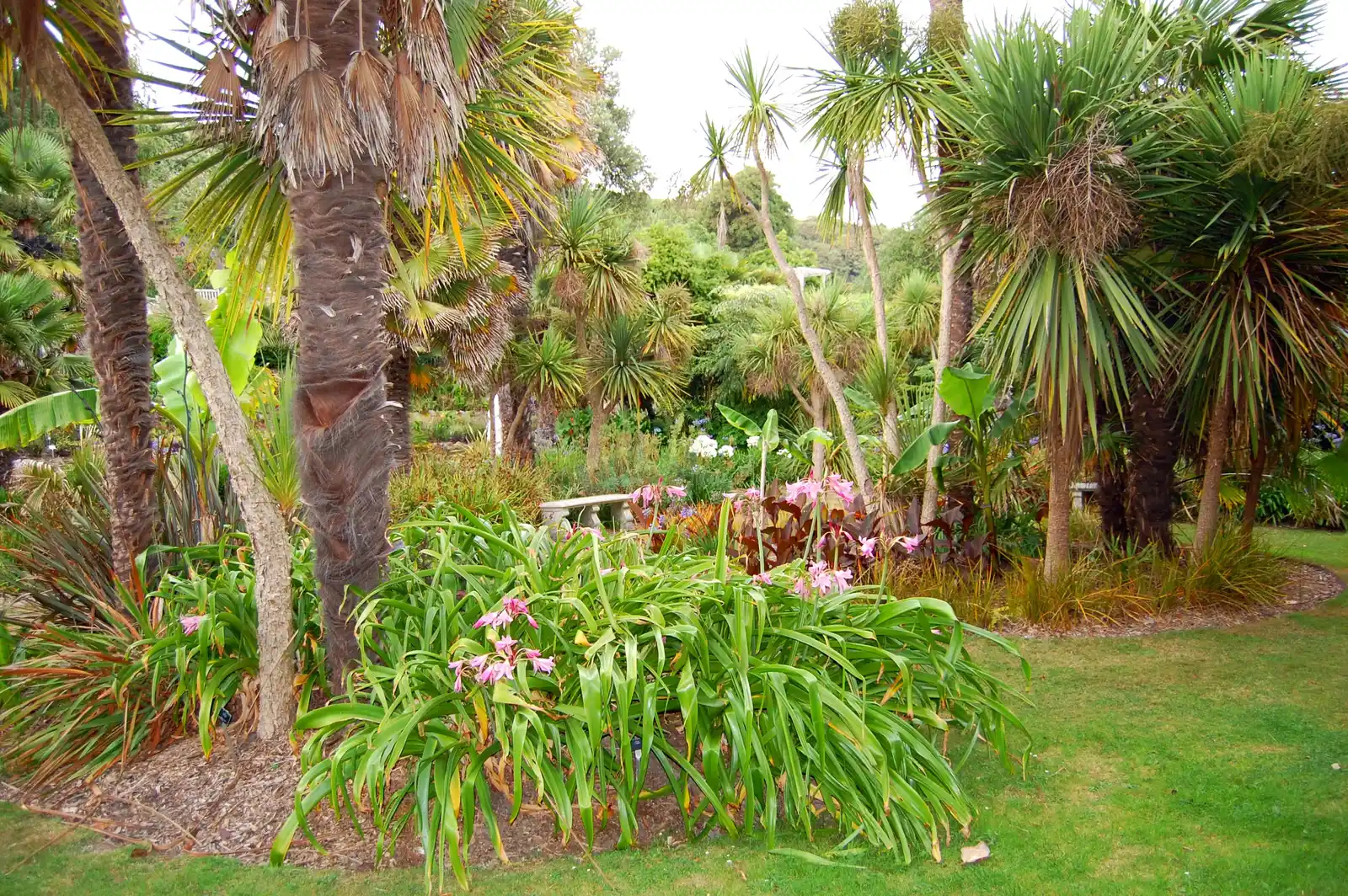 The Damage You Can't See Until It's Too Late (VENTNOR BOTANICAL GARDENS. IOW.2, CC BY-SA 2.0)