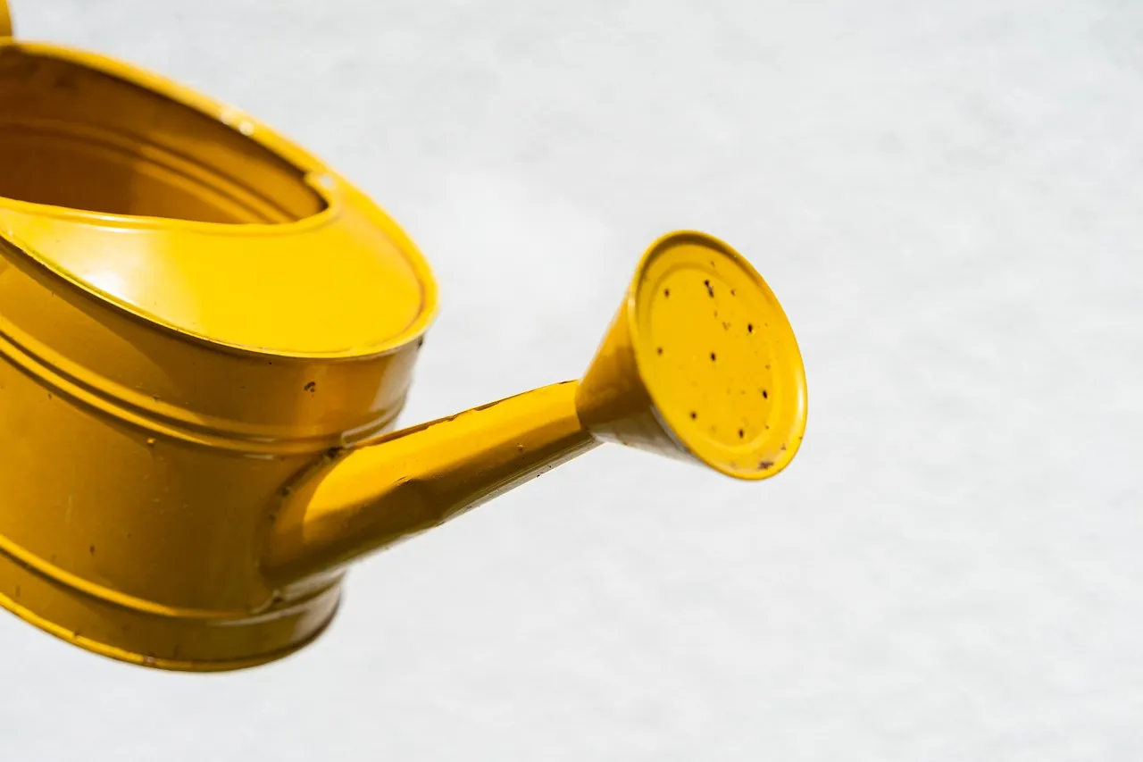 A Booming Broader Market Is Lifting All Antiques (Image Credits: Pixabay)