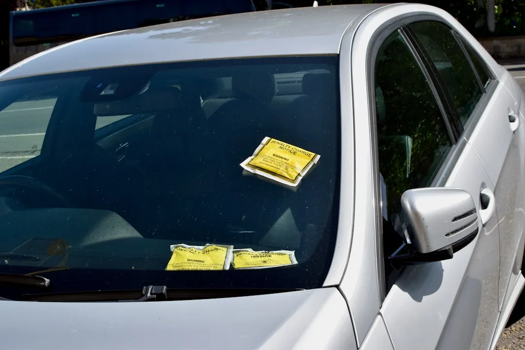 How Realistic These Fake Tickets Actually Look (Image Credits: Unsplash)