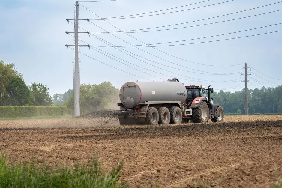 1. Blood Meal: The Nitrogen Bomb You're Dropping Too Close to the Roots (Image Credits: Pexels)