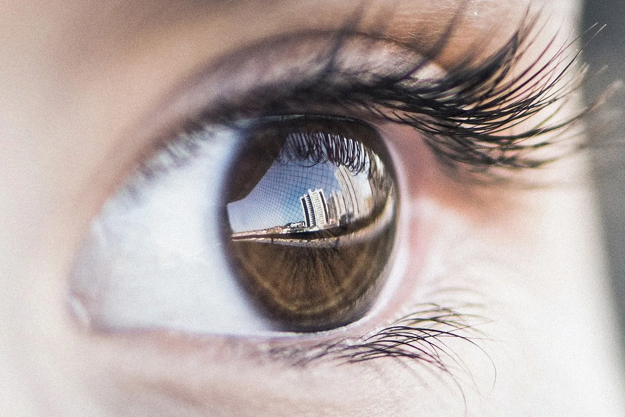 The Human Eye Cannot React in Time (Image Credits: Pixabay)