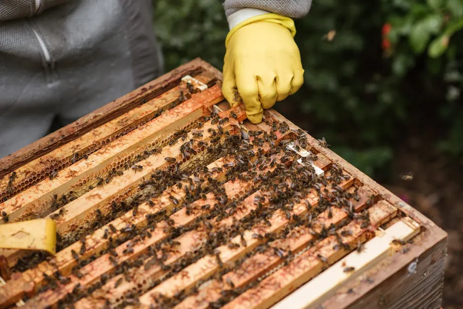 The Urban Beekeeping Market Is Expanding Fast (Image Credits: Pexels)