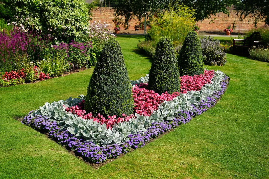 The Three-Layer Planting Model (Image Credits: Unsplash)