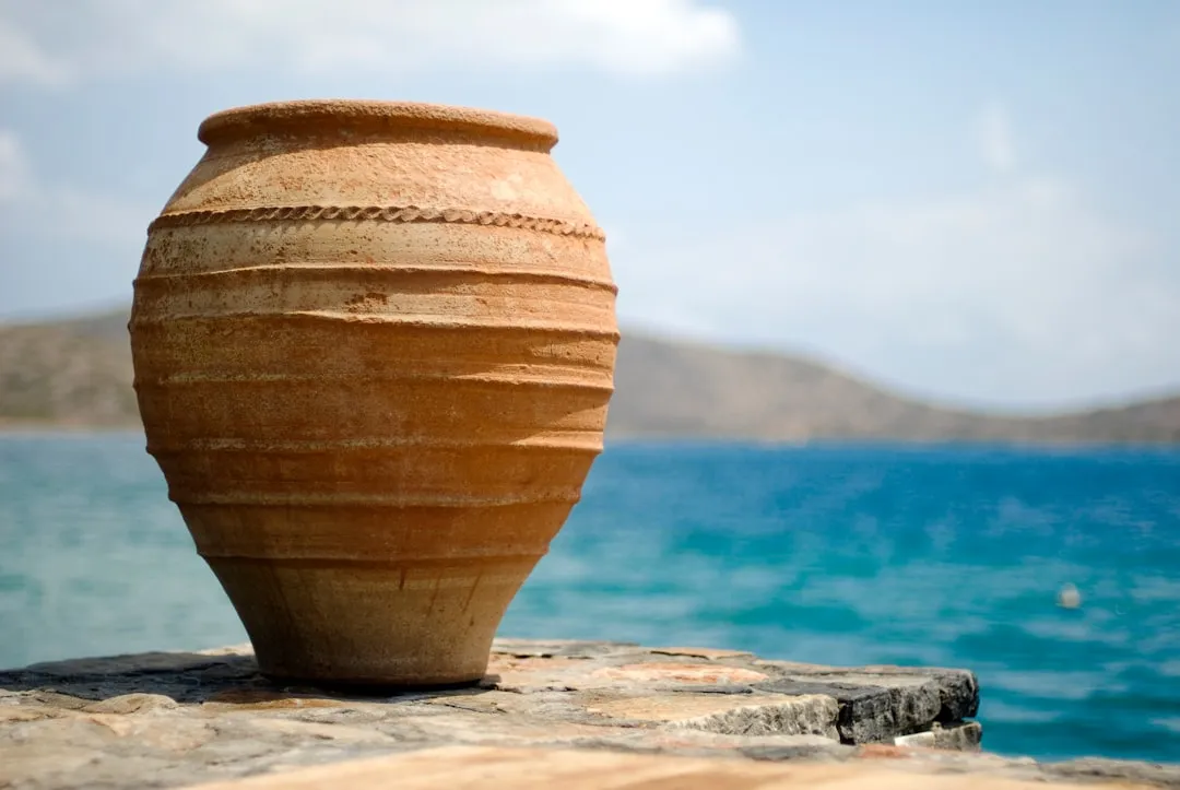 How Clay Pot Watering Actually Works (Image Credits: Unsplash)