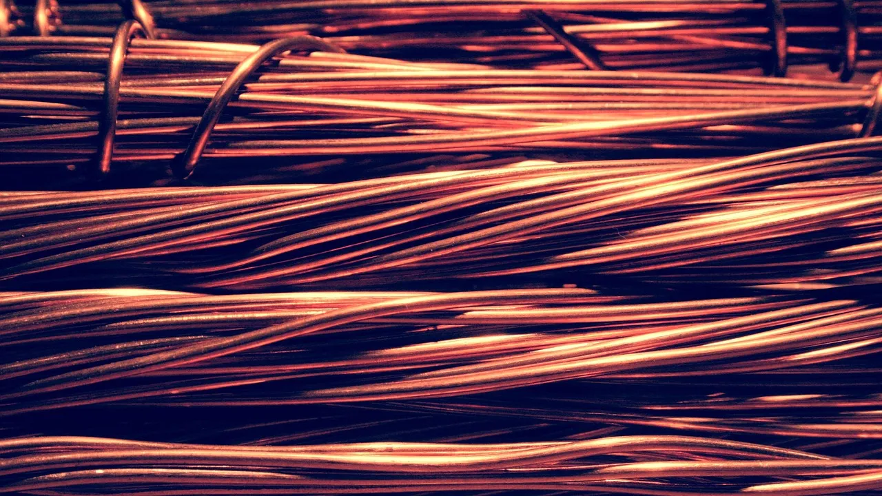 What Copper Actually Does to a Slug's Body (Image Credits: Pixabay)