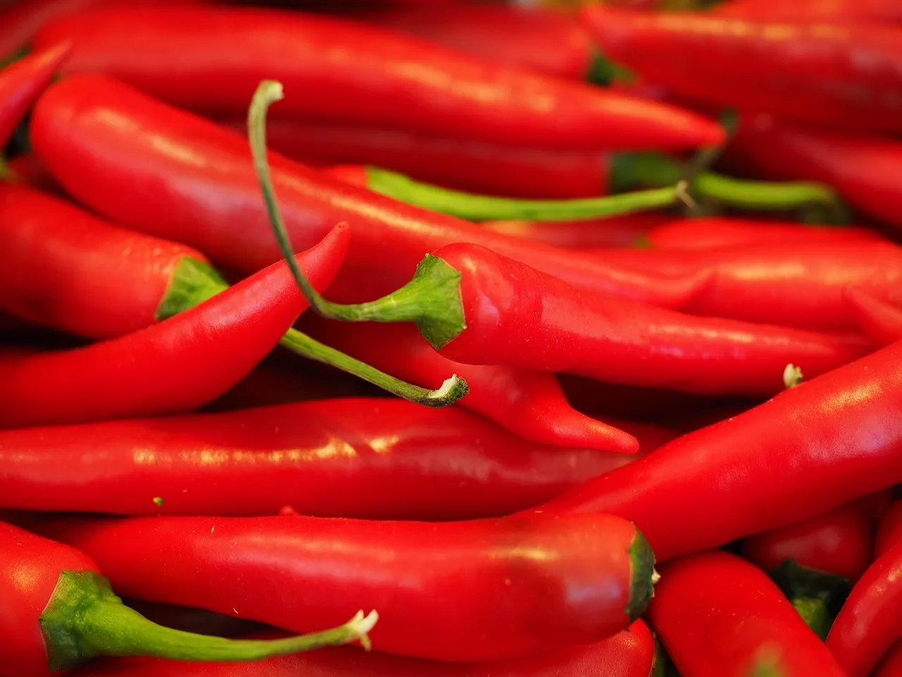 2. Chili Peppers: Capsaicin and Thermogenesis (Image Credits: Pixabay)