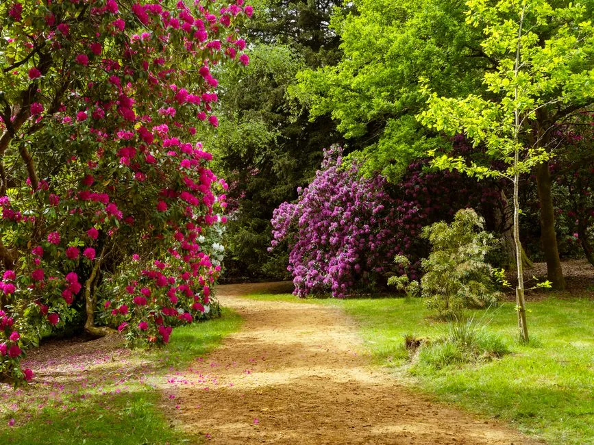 Why the English Border Is Worth Reviving Right Now (Image Credits: Pexels)