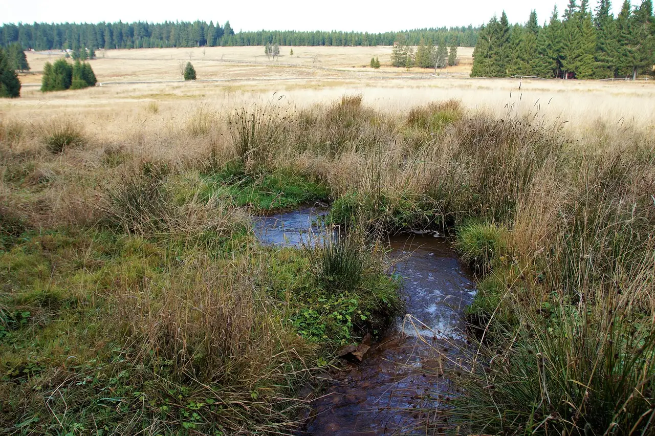 What Happens When Soil Gets Too Tight (Image Credits: Pixabay)