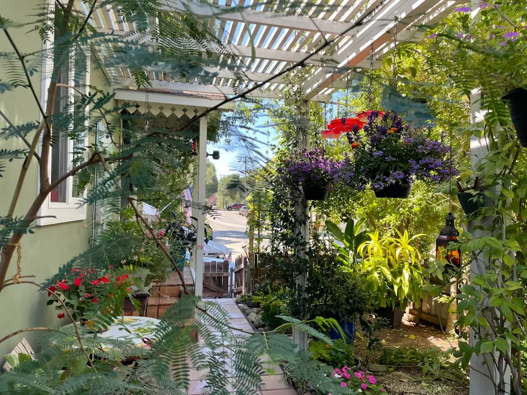 The Vegetable and Kitchen Garden Out Front: Practicality Meets Openness (Image Credits: Unsplash)
