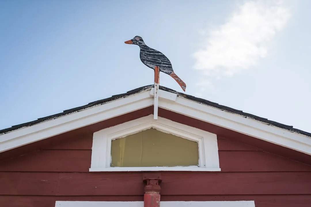 The Habituation Problem and How to Outsmart It (Image Credits: Unsplash)