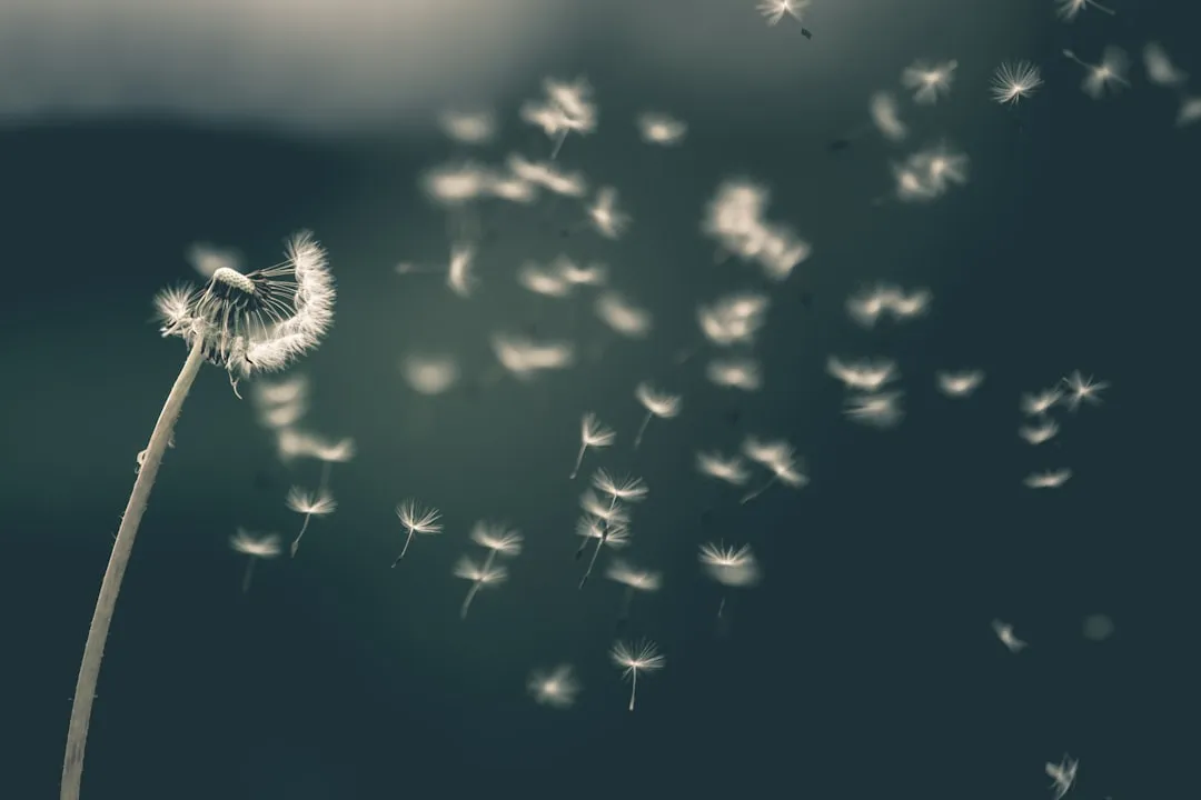 A Weed by Name Only (Image Credits: Unsplash)