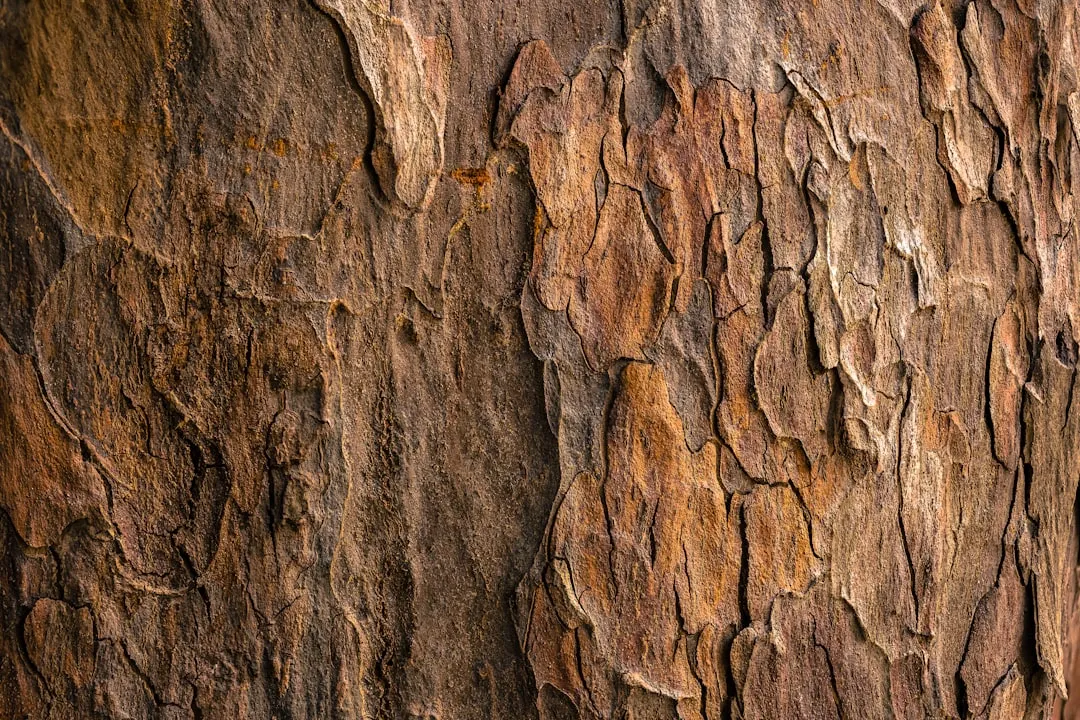 Why Young Trees Are Especially Vulnerable (Image Credits: Unsplash)