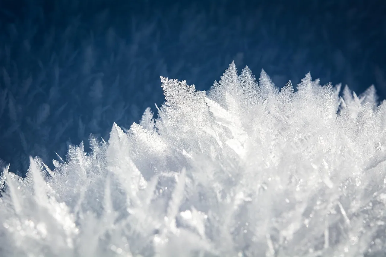 The Salt Crystallization Threshold Makes Timing a Science (Image Credits: Pixabay)