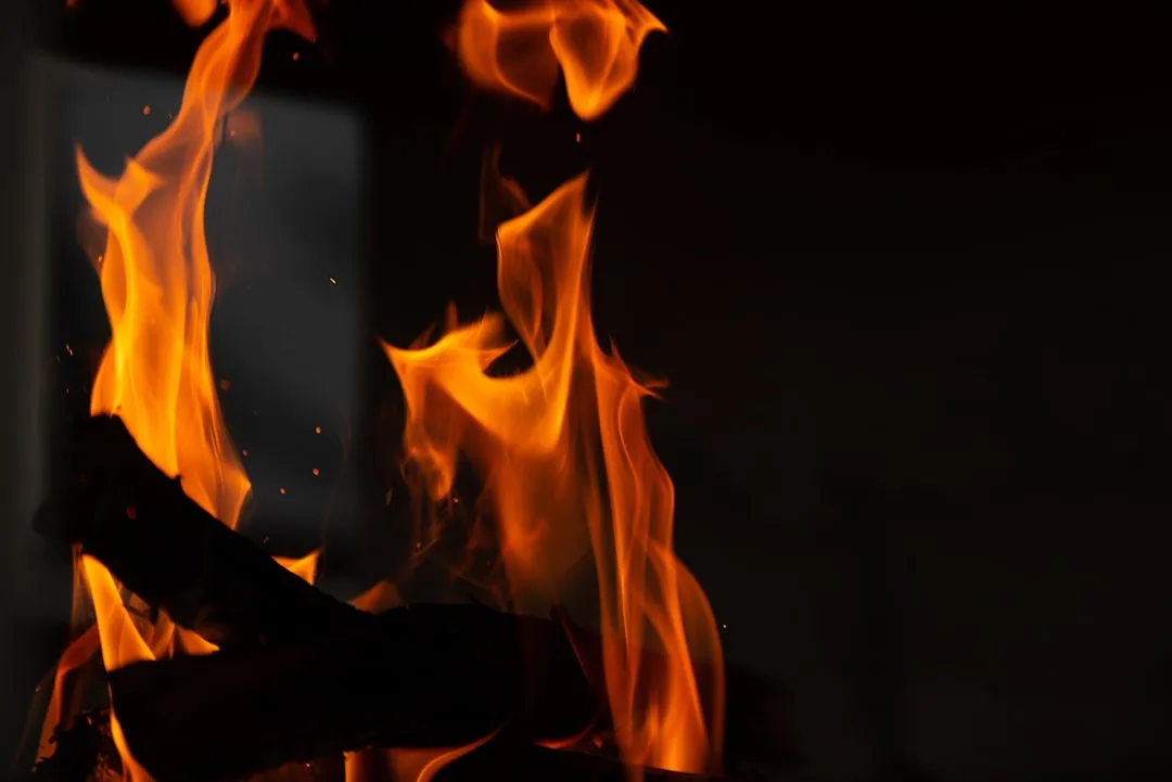 It's a Fire Hazard, Not Just a Pest Problem (Image Credits: Unsplash)