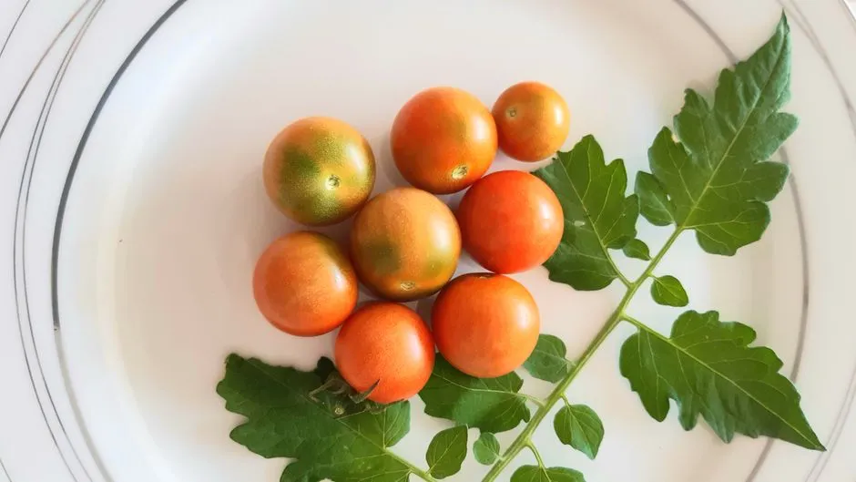 The Honest Verdict: Modest, Targeted, and Worth Understanding (Image Credits: Pexels)