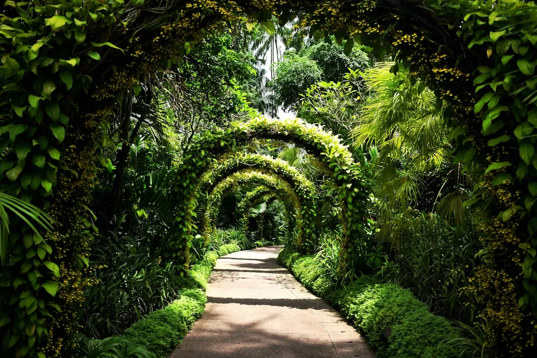 Neglected Hedgerows and Gardens Are Legitimate Botanical Frontiers (Image Credits: Unsplash)