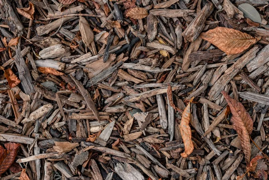 What Yard Materials to Add (and What to Avoid) (Image Credits: Pexels)