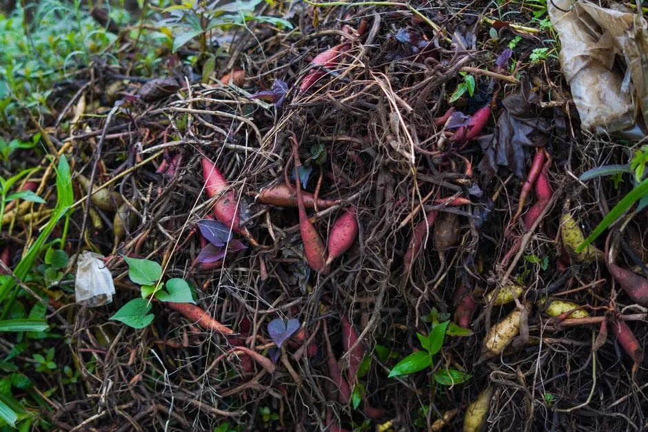 The PFAS Problem Nobody Talks About (Image Credits: Pexels)