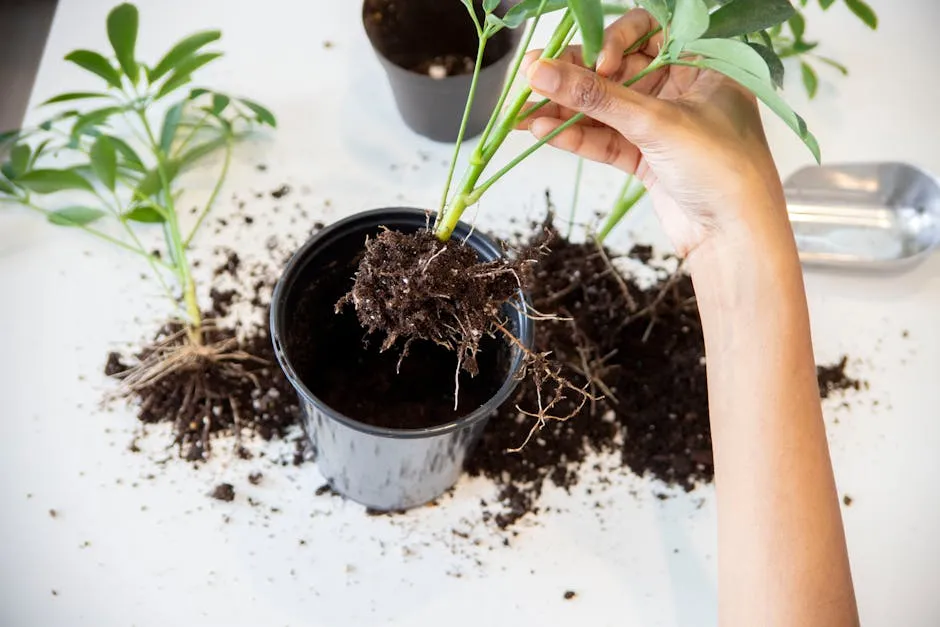 Watering After Treatment: The Recovery Phase (Image Credits: Pexels)