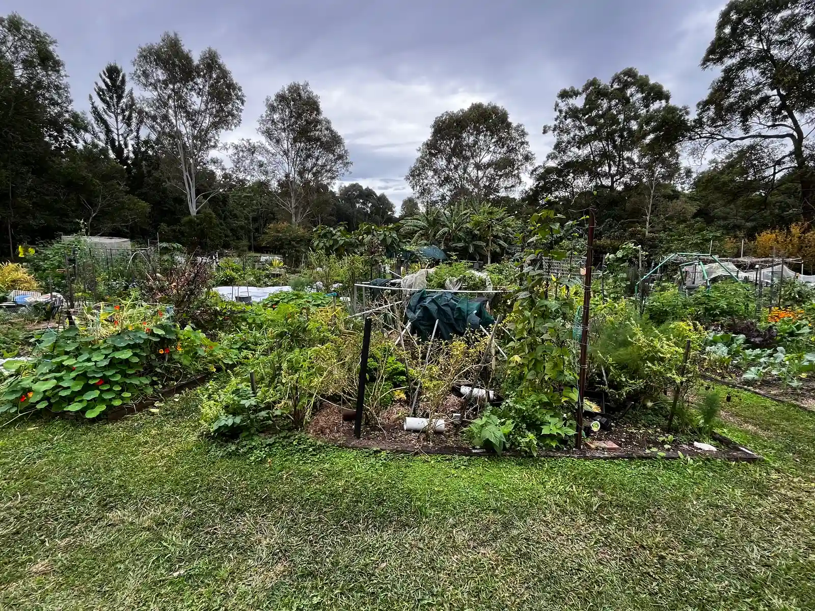 The Garden as Portrait (By Aliceinthealice, CC BY 4.0)