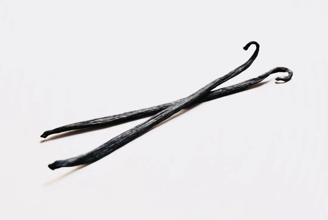 Lignin Is the Source of That Vanilla Note (Image Credits: Unsplash)