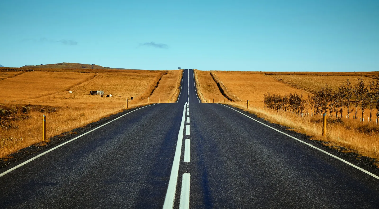10. Set Realistic Expectations About the Timeline Ahead (Image Credits: Unsplash)