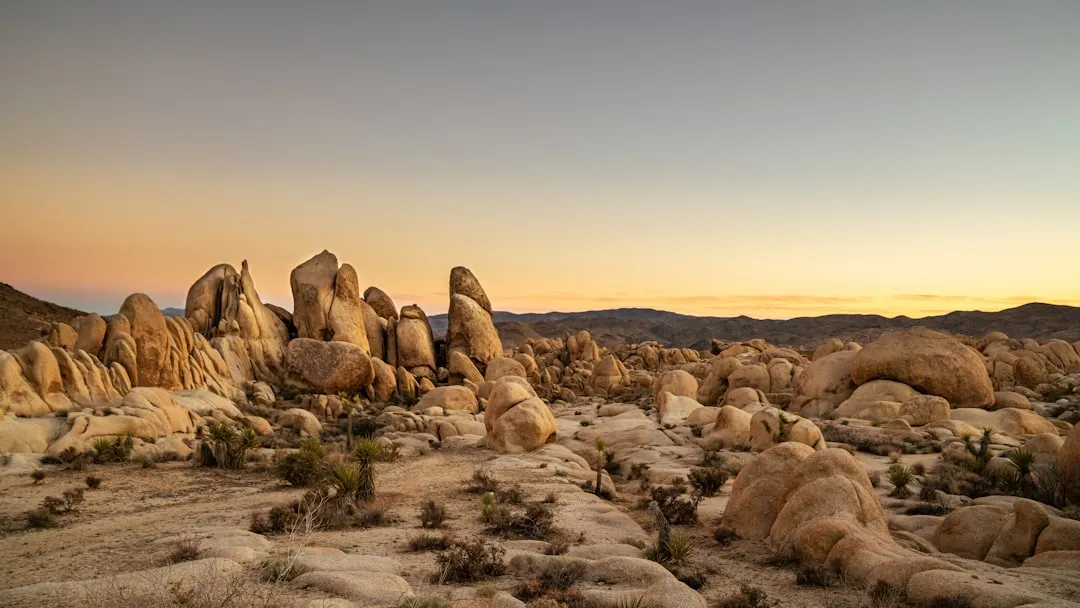 Climate Change Is Pulling the System Apart (Image Credits: Unsplash)