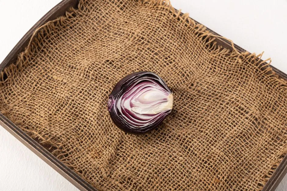 How the Onion Builds Its Chemical Defense (Image Credits: Pexels)
