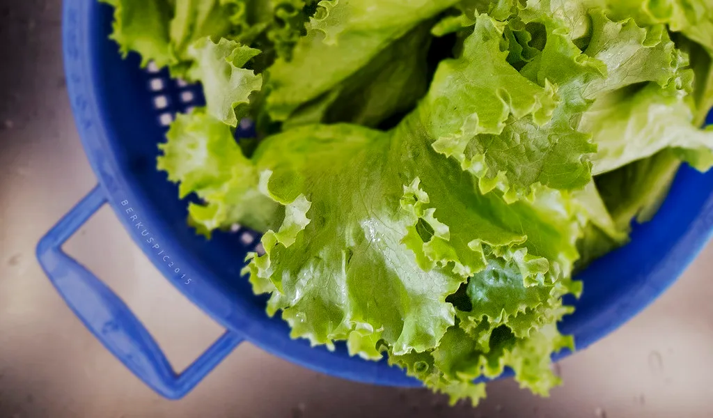Loose Greens Are the More Stable Choice (Bernal Saborio G. (berkuspic), Flickr, CC BY-SA 2.0)