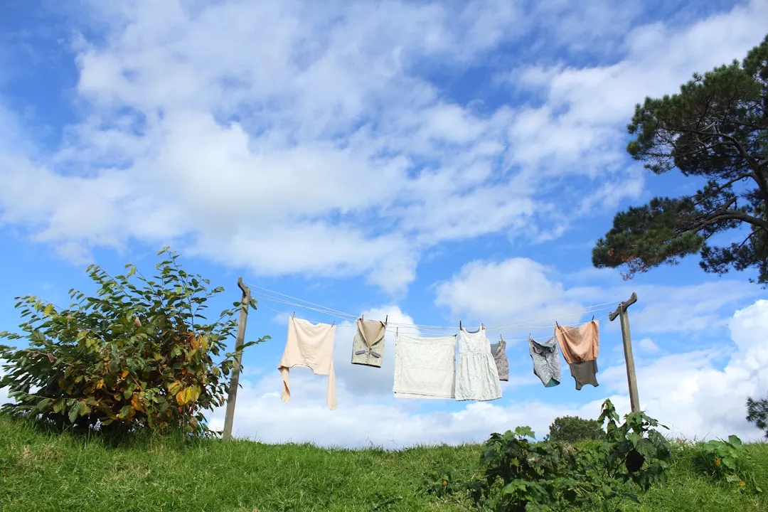 The HOA Problem and the Right to Dry (Image Credits: Unsplash)