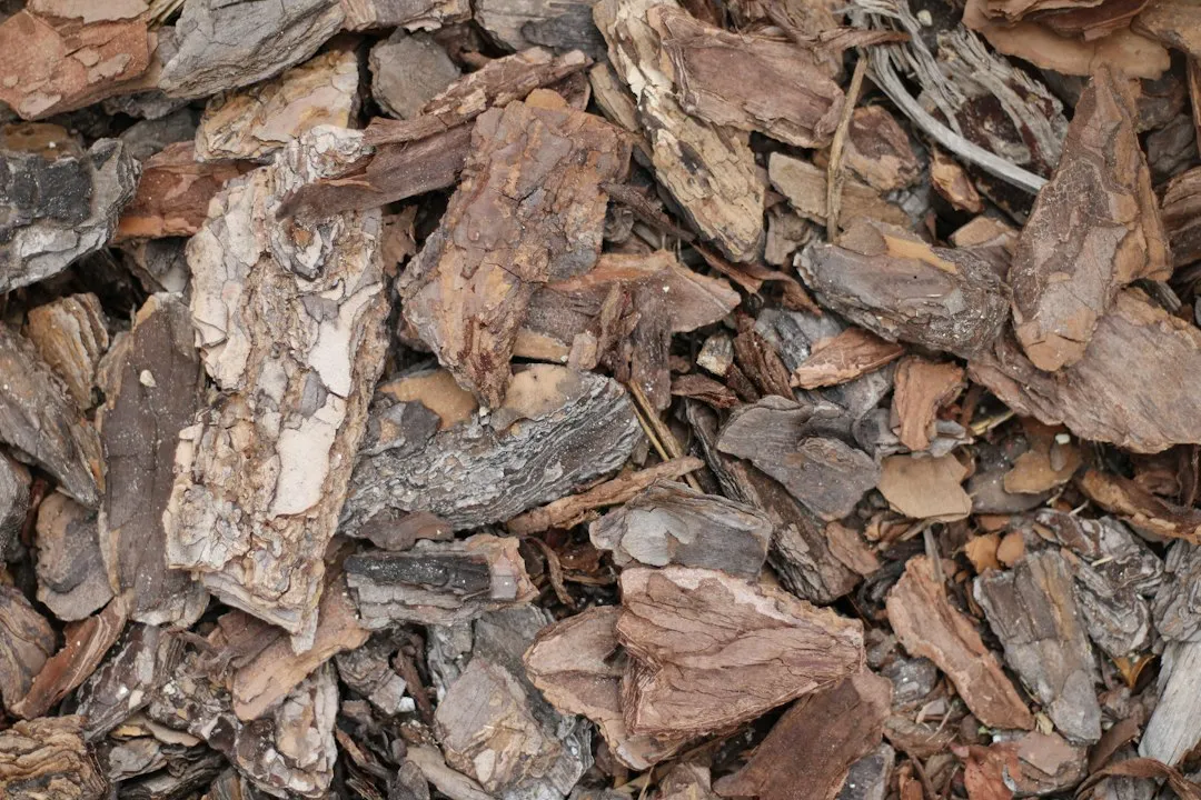 Mulching: The Step That Extends Everything (Image Credits: Unsplash)