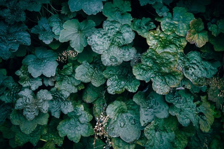 Heuchera (Coral Bells) (Image Credits: Pexels)